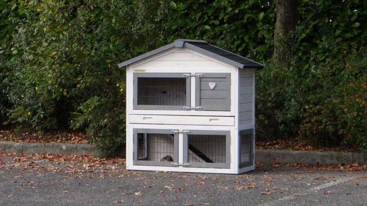 Clapier XXL moderne abri lain abri rongeur enclos parc, Animaux & Accessoires, Rongeurs & Lapins | Accessoires, Neuf, Envoi