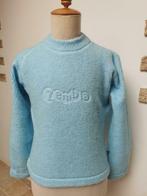 Mooie licht blauwe vintage dames trui Zembla, Kleding | Dames, Maat 38/40 (M), Ophalen of Verzenden, Zo goed als nieuw