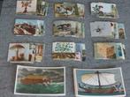 Chromo's "Familia" (251 chromo's), Verzamelen, Gebruikt, Ophalen of Verzenden, 1940 tot 1960, Prent
