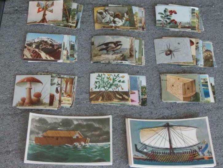 Chromo's "Familia" (251 chromo's), Verzamelen, Foto's en Prenten, Gebruikt, Prent, Overige onderwerpen, 1940 tot 1960, Ophalen of Verzenden