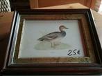 Cadre  tableau vintage gravure chasse canard Gadwall, Moins de 50 cm, Enlèvement ou Envoi, Comme neuf, Bois