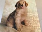 Puzzel *Golden Retriever* 500 stukken, Enfants & Bébés, Comme neuf, Plus de 50 pièces, 6 ans ou plus, Enlèvement ou Envoi