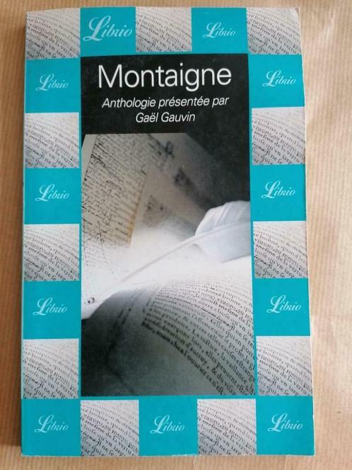 Montaigne - Gaël Gauvin, Boeken, Romans, Gelezen, Ophalen of Verzenden