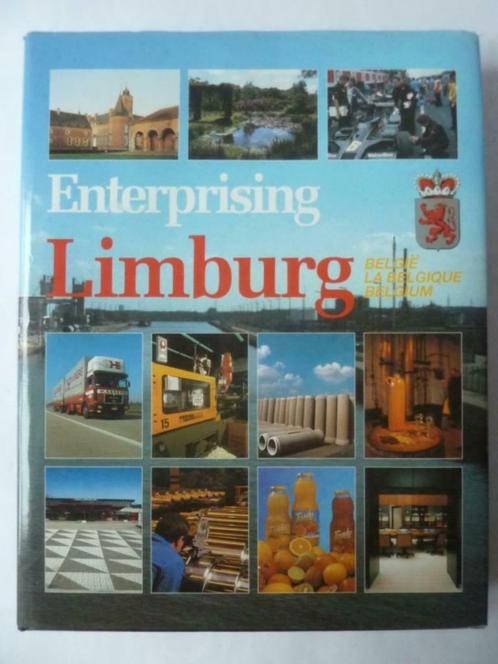 Entreprenant Limburg / Ondernemend Limburg (B), 1990, Livres, Économie, Management & Marketing, Comme neuf, Autres sujets/thèmes