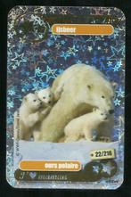 Carte des héros de l'ours polaire de notre planète 22/216, v, Comme neuf, Enlèvement ou Envoi