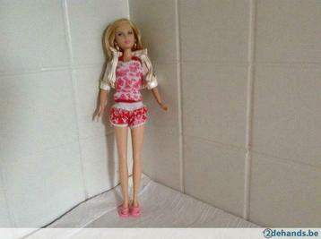 Sharpei van high school musical Barbie, Enlèvement ou Envoi, Utilisé, Barbie