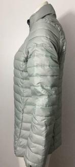 Gilet Airforce, veste - Doudoune - L - Neuf, Gris, Airforce, Envoi, Taille 42/44 (L)