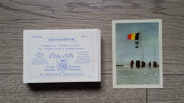 Côte d'Or - Antarctic - Alimenta-Brussels - Chocolat, Verzamelen, Overige Verzamelen, Gebruikt, Ophalen of Verzenden