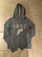 Trui abercrombie and fitch dames maat small, Ophalen of Verzenden
