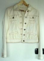 Wit jeansjasje Massimo Dutti, Kleding | Dames, Gedragen, Maat 42/44 (L), Ophalen of Verzenden, Wit