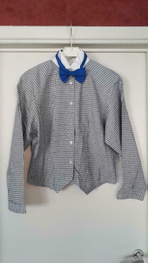 Chemisier, Kleding | Dames, Blouses en Tunieken, Zo goed als nieuw, Blauw, Ophalen of Verzenden