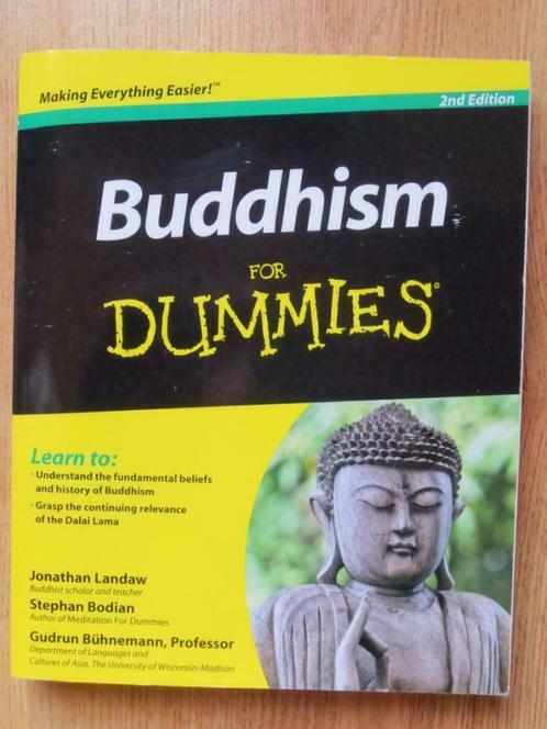 Buddhism for Dummies, Boeken, Godsdienst en Theologie, Zo goed als nieuw, Boeddhisme, Ophalen of Verzenden