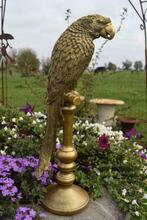 Hoge kwaliteit gouden polyresin beeld (de papegaai), Nieuw, Ophalen of Verzenden, Animalier