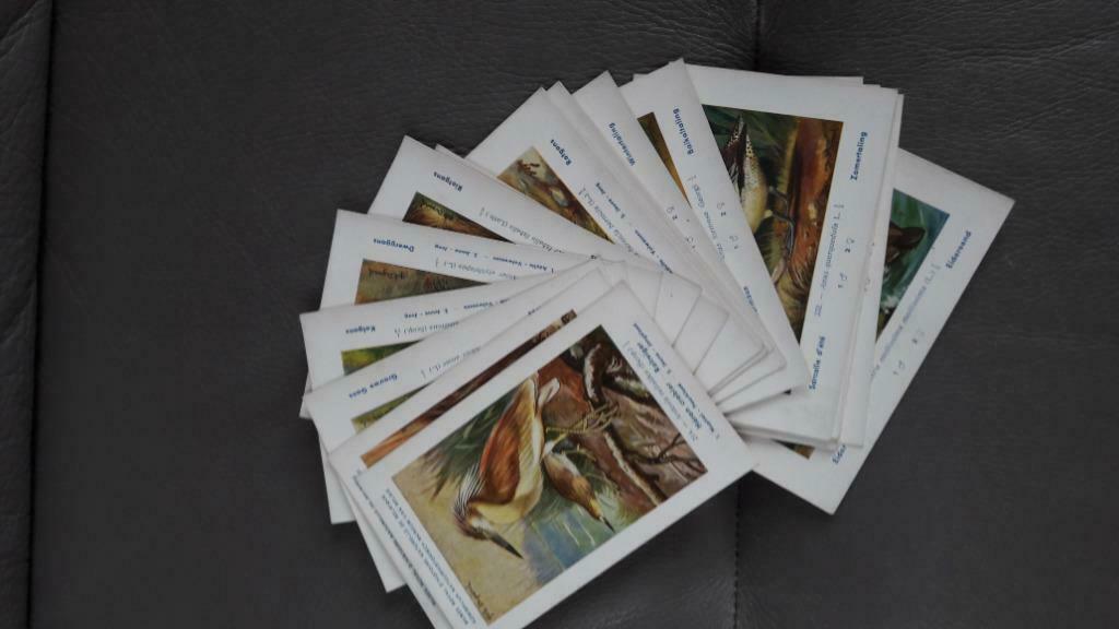 34 CP Musée Royal d'histoire naturelle animaux 214 à 247, Ophalen of Verzenden, Ongelopen, Natuur