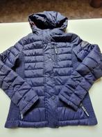 winterjas Superdry maat L, Bleu, Superdry, Porté, Taille 42/44 (L)