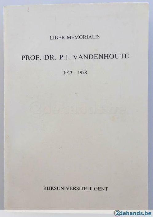 Etnische kunst: Liber Memorialis Prof. Dr. P.J. Vandenhoute, Boeken, Kunst en Cultuur | Beeldend, Gelezen, Ophalen of Verzenden