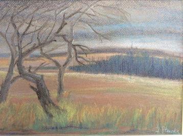 FRANS STERCKX -LES HAUTES FAGNES
