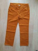 Broek / ribfluweel / roestkleur / 50, Kleding | Dames, Maat 46/48 (XL) of groter, Oranje, Ophalen of Verzenden, Lang