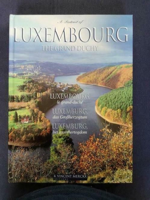 Boek Luxemburg, Livres, Histoire nationale, Utilisé, Enlèvement ou Envoi