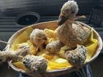 Moeder gans en haar kleintjes in stro ., Ophalen, Gebruikt