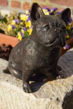 Bull dog, Franse bulldog in brons, Antiek en Kunst, Antiek | Brons en Koper, Ophalen of Verzenden, Brons