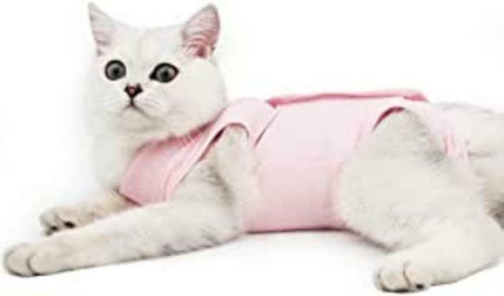 Cat Recovery Coat, kleine hond, operatie, pla, Dieren en Toebehoren, Hondenkleding, Nieuw, Overige hondenkleding, Verzenden