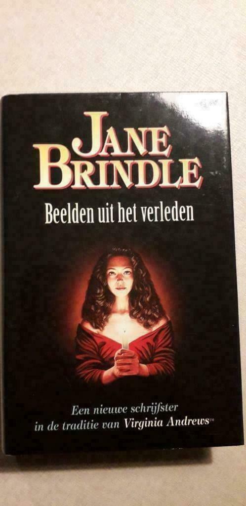 Jane Brindle: Beelden uit het verleden, Livres, Thrillers, Comme neuf, Enlèvement ou Envoi