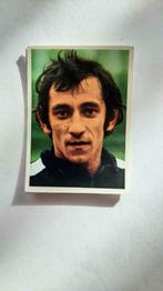 afbeelding Belgisch voetbal 1973 vanderhout teugels daring, Verzamelen, Ophalen of Verzenden, Gebruikt