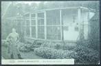 Carte Postale Lavoir de Brugelette - Une volière au jardin, Affranchie, Hainaut, Enlèvement ou Envoi, Avant 1920