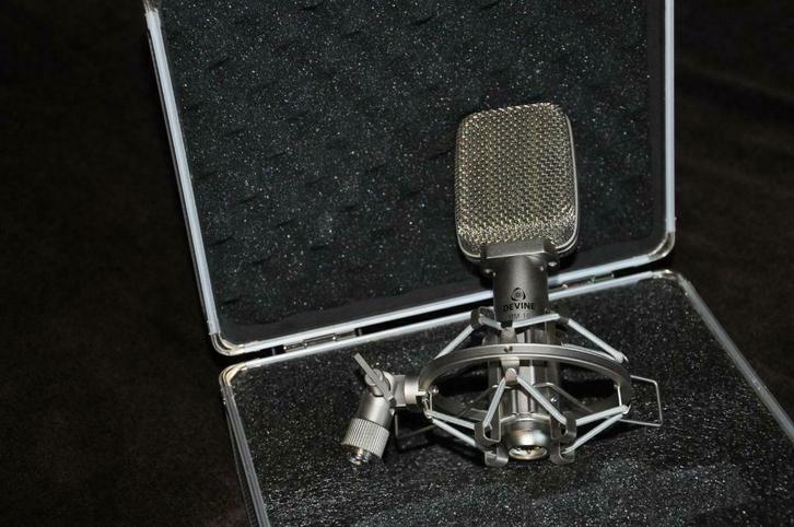 Micro ruban RM 10 Devine, Muziek en Instrumenten, Microfoons, Zo goed als nieuw, Studiomicrofoon, Ophalen