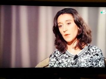 SAMSUNG 46 INCH TV beschikbaar voor biedingen