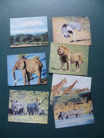 Chromos plaatjes Walt  Disney   Zeep Couvreur x 7, Collections, Enlèvement ou Envoi, Utilisé