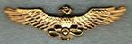 Ukrainian Air Force Kepie insigne ( A3 ), Ophalen of Verzenden, Luchtmacht, Embleem of Badge