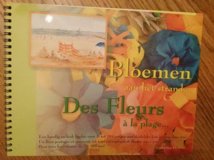 2 Knutsel boeken, bloemen van papier zelf maken, Hobby en Vrije tijd, Knutselen, Zo goed als nieuw, Ophalen of Verzenden