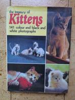 Boek : The treasury of kittens, Comme neuf, Chats, Enlèvement ou Envoi