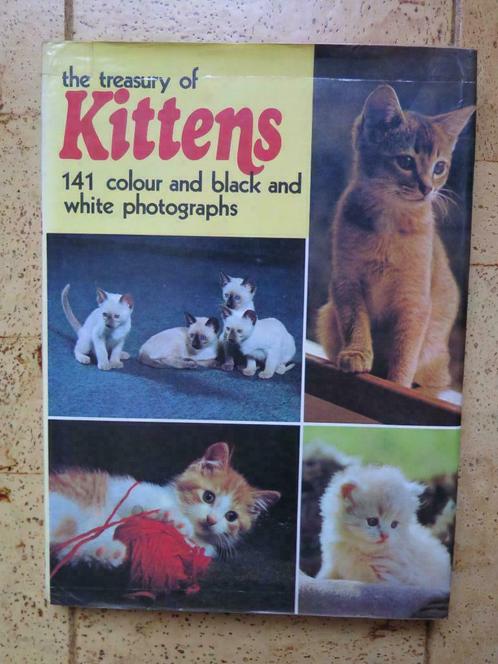 Boek : The treasury of kittens, Livres, Animaux & Animaux domestiques, Comme neuf, Chats, Enlèvement ou Envoi
