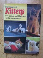 Boek : The treasury of kittens, Ophalen of Verzenden, Zo goed als nieuw, Katten