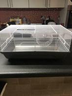 Knaagdierkooi of andere:, Minder dan 60 cm, Kooi, Hamster, Minder dan 75 cm