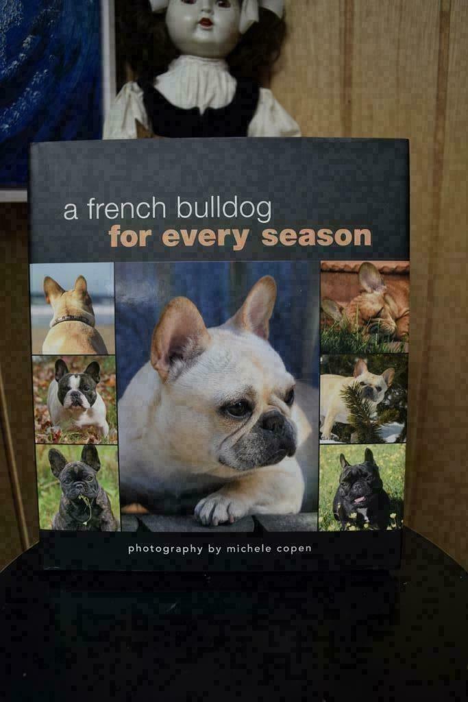 Un bouledogue français pour chaque saison, Livres, Livres Autre, Comme neuf, Enlèvement ou Envoi