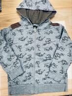 Dino truitje maat 104, Kinderen en Baby's, Kinderkleding | Maat 104, Ophalen of Verzenden, Zo goed als nieuw, Jongen, Trui of Vest