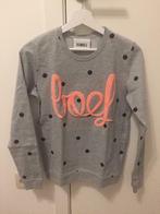 Sweater Colourful Rebel Maat XS Boef Grijs, Kleding | Dames, Colourful Rebel, Ophalen of Verzenden, Zo goed als nieuw, Maat 34 (XS) of kleiner