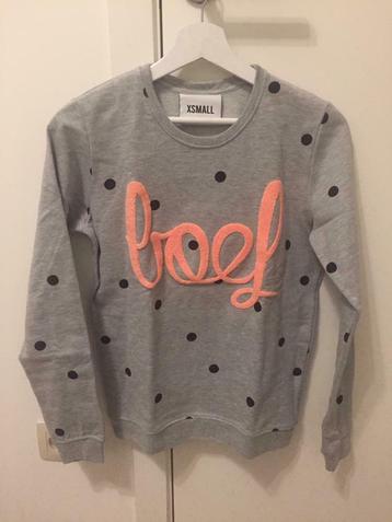 Sweater Colourful Rebel Maat XS Boef Grijs, Colourful Rebel, Ophalen of Verzenden, Zo goed als nieuw, Maat 34 (XS) of kleiner