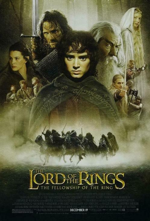 dvd - Lord of the rings -the fellowship of the ring, Cd's en Dvd's, Dvd's | Science Fiction en Fantasy, Zo goed als nieuw, Fantasy