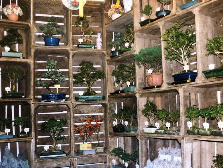 CAISSES EN BOIS ANCIENNES, Huis en Inrichting, Woonaccessoires | Wijnrekken, Gebruikt, Hout, Ophalen of Verzenden