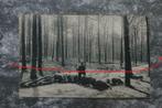 Postkaart 13/3/1918 Brussel Ter Kamerenbos, België WO I, Ophalen of Verzenden, Voor 1920, Gelopen, Brussel (Gewest)