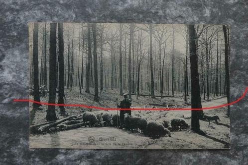 Postkaart 13/3/1918 Brussel Ter Kamerenbos, België WO I, Verzamelen, Postkaarten | België, Gelopen, Brussel (Gewest), Voor 1920