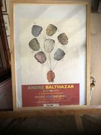 Affiche expo Balthazar, Livres