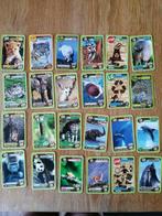 Lot WWF kaarten " De helden van onze planeet ", Verzamelen, Overige supermarkten, Ophalen of Verzenden