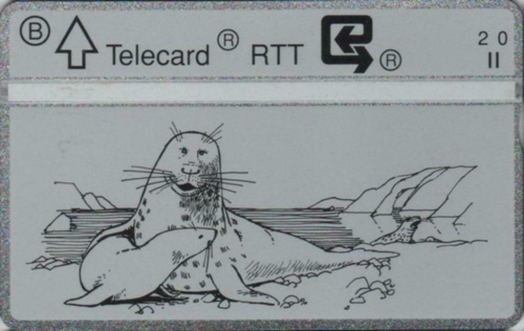 Télécarte Privée Belge P 203 Phoques, Collections, Cartes de téléphone, Enlèvement ou Envoi