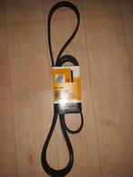 Courroie trapézoïdale a nervure, Ophalen of Verzenden, Nieuw, Amerikaanse onderdelen